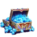 LARGE PACK