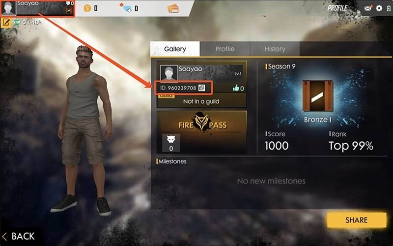 How to Purchase